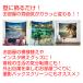 �^�y�X�g���[ ������� �썑 ���i �C �唻 �傫�� �G�� �r�[�` �C���e���A �|�X�^�[ �ډB�� �z ���� ���� ����t�� �i�F �e�����[�N �w�i�z �֘A�摜1