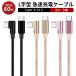 3�{�Z�b�g �^�C�vC �P�[�u�� L�� �}���[�d iPhone �[�d�P�[�u�� L�^ USB�P�[�u�� USB Type-C TO Type-C Android MAC iPad �؂�ɂ��� �A�C�t�H���P�[�u��