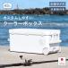 �N�[���[�{�b�N�X ��^ �ۗ�� �ۉ� �ނ� ������� 45L �L���X�^�[�t�� �L�����v�p�i �ۗ�o�b�O �z���f�[�N���[�Y45H