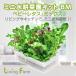  гидропонная культура комплект Mini водная культура .. комплект BM baby lettuce * Mix 2 раз культивирование минут комплект ( питательная среда сиденье * жидкий удобрение * вид имеется ) овощи культивирование комплект культивирование комплект огород свободный изучение 