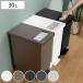  waste basket 30Lyu need push & pedal ( 30 liter cover attaching minute another kitchen dumpster slim minute another waste basket shelves under counter under )