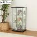 �V���[�P�[�X ��42.5cm 3�i �w�ʃ~���[ �R���N�V�����P�[�X �K���X�� �i �R���N�V�����L���r�l�b�g �K���X�P�[�X �L���r�l�b�g �~���[�t�� �j
