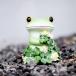  ornament Mini garden Lucky clover . frog Copeau (ko Poe frog kopo Taro ornament decoration clover flower )