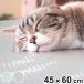 hi... коврик домашнее животное собака кошка охлаждающий 45cm×60cm ( контакт охлаждающий коврик сиденье ....... домашнее животное коврик Play s коврик водонепроницаемый ... дезодорация )