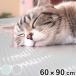 hi... коврик домашнее животное собака кошка охлаждающий 60cm×90cm ( контакт охлаждающий коврик сиденье ....... домашнее животное коврик Play s коврик водонепроницаемый ... дезодорация )