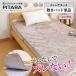 �~���p�b�h�P�i �V���O�� �������Q�^�b�` �Y���Ȃ��~���p�b�h �s�^�[�� �i PITARA �~���p�b�h �P�i �x�b�h�p�b�h �Y���Ȃ� ���� �j