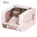  носки обувь baby подарочная коробка M 12.6cm... ....( носки обувь носки обувь сделал тренировочная обувь младенец ребенок подарок )
