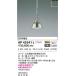 AP45541L ڥȥ饤 LED׸򴹲ǽ Ĵ 60W ŵץ ץ饰 ޡ