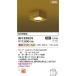 AH55024 �a���V�[�����O LED�����v�����\�^  �񒲌� 60W���� �����FLED R�{ �|�E�I�C���d�グ