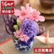 �y�����z�BOK ���~���c�Ɓz �v���U�[�u�h�t�����[�P�[�X���� �a���� �ސE�j�� �җ�j�� ������j�� �v���[���g �� ���� �Ê� �P�� �Ď� ���� �a�� ������