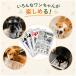 WE Pets ���p ���ނ�������(2���Z�b�g)�m�炨������ ������ �V���f�U�C�� �ϋv�� ���ݑϐ� �X�g���X���� �������T�|�[�g ����OK ���^�� ���^�� ��^�� �Ή� �֘A�摜4