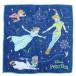sinema коллекция cinemacollection Peter Pan Disney герой Mini полотенце автомобиль - кольцо носовой платок полотенце полет Night 