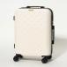  Cecil McBee CECIL McBEE CARRYCASE S ( белый )