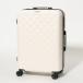  Cecil McBee CECIL McBEE CARRYCASE L ( белый )
