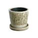  Dulton DULTON COLOR GLAZED POT (CLAY)