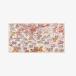  собака i выпуск zINOUI EDITIONS [ стандартный обращение магазин ]SCARF 100 ROME 06608 (Poudre / Powder)