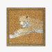  собака i выпуск zINOUI EDITIONS [ стандартный обращение магазин ]SQUARE 65 FELIS 04308 (Beige / Beige)