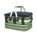  задний ярд Family BACKYARD FAMILY термос корзина (6258 окантовка зеленый )