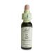 �o�b�`�t�����[�����f�B 18.IMPATIENS�i�C���p�`�G���X�j�E�ϗ� 10ml