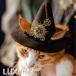  пар punk steampunk кошка для Wizard шляпа шляпа Mahou Tsukai симпатичный фотосъемка Mai шт. фотосъемка для домашнее животное костюм Halloween Event 