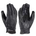 �f�C�g�i(Daytona) �o�C�N �O���[�u �v(���M�v) �t�ďH�~ �S�[�g�X�L�� �X�^���_