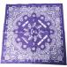  новый товар GRAMICCI x BEAMS BOY Gramicci Beams Boy специальный заказ сделано в Японии peiz Lee бандана PURPLE хлопок шарф носовой платок палантин g27383