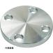 ƥ쥹 FLOBAL SUS304 5K Ļߥե 14100554 [SUS-5K-BL-FF-20A] SUS5KBLFF20A ñ̡1