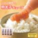  Fukuoka префектура . полосный нет окраска .. минтаевая икра камера 200g×4шт.@ удобный гарнир .. ... макароны картофель салат организовать свободный 