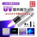 USB rechargeable LED ultra-violet rays light waterproof super powerful UV light black light night fishing 395nm resin Mini compact light weight 