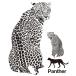 MU3 настенный стикер леопард . Leopard Panther сделано в Японии животное Africa животное наклейка обои монохромный 
