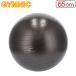 �y���s�A���i�z �M���j�N Gymnic �M���j�NPLUS 65 BRQ Gymnic PLUS 65 BRQ �o�����X�{�[��