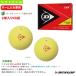  Dunlop soft теннис мяч [ имя inserting ]1 дюжина [2 лампочка ввод ×6 пакет ] Dunlop soft теннис мяч легализация лампочка желтый DSTBYL2TIN