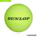  Dunlop теннис сопутствующие предметы * мелкие вещи medium мяч TAC8201