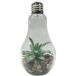 * B * лампа type интерьерный свет Terrarium интерьерный свет лампа type искусственная зелень настольный террариум свет декоративное растение поддельный 