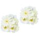 * Flower/White/White * KILTIE колодка аксессуары PERO COVERpero покрытие детали колодки оборудование орнамент . аксессуары колодка очарование 