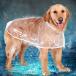  dog wear dog clothes cat clothes pet clothes pet wear dog cat love dog pet pet accessories colorful pet goods Western-style clothes spring summer autumn casual rain 