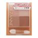 CEZANNE セザンヌ ベージュトーンアイシャドウ 02 ロージーベージュ パウダーアイシャドウ ダブルチップ付 [ギフトラッピング対応]