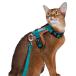  выпадение нет кошка шлейка с поводком имеется прогулка для шлейка размер настройка возможность выпадение трудно простой оборудован кошка для шлейка с поводком комплект 