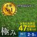 artificial lawn lawn grass raw artificial lawn artificial lawn raw green soccer the lowest price . challenge garden DIY super high density 47 ten thousand book@ weather resistant 10 year lawn grass height 35mm fixation pin attached 2×5m roll 