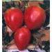 ハート形の　赤ベリートマト　 6粒