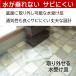 �P���� �|��Ȃ� �K�тȂ� �X���� �X�`�[�� ���F �� �ȃX�y�[�X ���_�� ������� ���� �I�t�B�X ���J LFS-182 �֘A�摜4