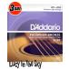 D'Addario  ꥪ   Phosphor Bronze Wound Custom Light #EJ26.011-.0523set