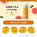 ���ϐ� �r�^�~��C�U���� �Y�_�~�X�g �Z���~�h �v���� VC �J�[�{�j�b�N ���o�C�o���~�X�g �O���[�v�t���[�c�̍���i2�_�Z�b�g�j�|�C���g �֘A�摜2