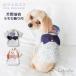 mocmof pet ���� �h�b�O�E�F�A ���� ���������t �䂩�� �čՂ� ���Ղ� �y�b�g�� 622-660077 ���N���t �l�C�r�[ �s���N
