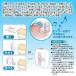 �g�C�� ������ �g�C���̉�����ECO�����f�B�Q ���� ���P �֘A�摜1
