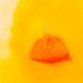 ���� LUSH �l�G�̈ꕞ �o�X�{�� ������ �Z�b�g �M�t�g �l�ߍ��킹 �a���� �v���[���g ���R�h ���Ԃ� ���j�� ���킢�� ������� �l�C ���j�� ���̓� ���b�V�� �֘A�摜4