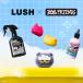 LUSH �t���b�t�B�[ ZOA �w�A�v���C�}�[ 100g �w�A�~�X�g ZO&FRIENDS �w�A�P�A �M�t�g �􂢗����Ȃ� �g���[�g�����g �ێ� �� �c�� �������� ���b�V�� ���� �֘A�摜4