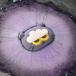 LUSH �_�L ZOA �o�X�{�� LUSH�~ZO&FRIENDS ���� ������ ���B�[�K�� ���R�h �R�X�� �v���[���g ���b�V�� ���� �֘A�摜2