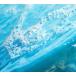 LUSH �A�E�g�o�b�N���C�g �\�[�v �Ō` �Ό�  �v�`�M�t�g �y�p�[�~���g ���[�J�� �������O���X �u���� ������  �R�X�� �v���[���g ���b�V�� ���� �֘A�摜2