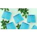LUSH �A�E�g�o�b�N���C�g �\�[�v �Ō` �Ό�  �v�`�M�t�g �y�p�[�~���g ���[�J�� �������O���X �u���� ������  �R�X�� �v���[���g ���b�V�� ���� �֘A�摜3